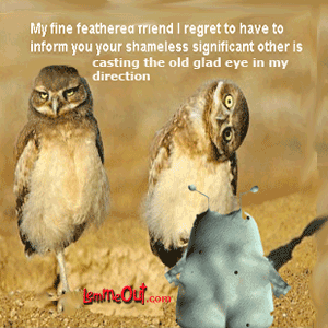 funny-picture-glad-eye-lemmeout