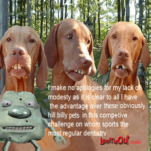 laugh-at-the-funny-picture-of-animals