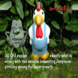 strolling-amomg-the0undergrowth