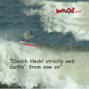fun-in-the-surf