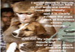 lol-lfunny-monkey-dog-picture