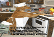 lol-funniest-dog-pictures