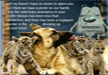 lol-funny-animal-pictures