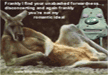 lol-kangaroo-lemme
