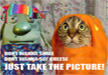 lol-funny-cat-and-lemme