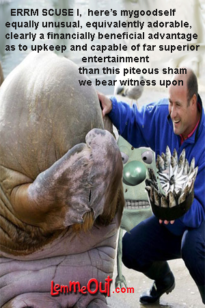funny-picture-of-the-day-cryingl-monster-with-lemmeout