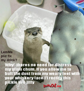 funny-picture-of-the-day-cute-otter