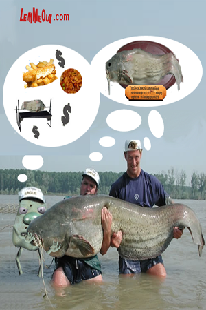 huge-cat-fish-with-lemmeout